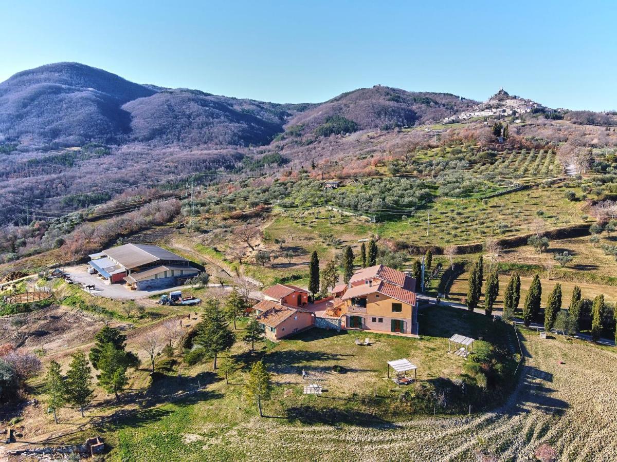 Az.Agr. Il Cavalleggero Campiglia d'Orcia Exterior photo